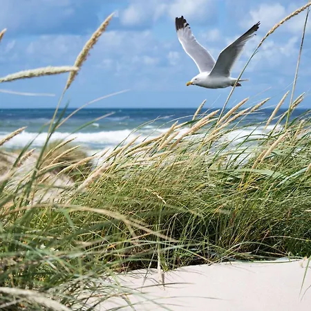 Family Near In Golden Triangle